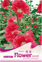 20 Hollyhock Country Romance Red Alcea Rosea Flower Garden Beautiful - £4.64 GBP