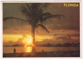 Florida Postcard Sunset Over Tropical Florida Waterway - £1.63 GBP