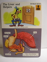 1978 Walt Disney&#39;s Fun &amp; Facts Flashcard #DFF4-16: The Liver and Helpers - $2.00