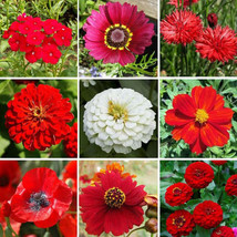 FA Store 500 Seeds Wildflower Mix Big Red Heirloom Flowers Hummingbirds Bees Usa - £7.86 GBP