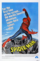 Spider-Man Poster 1977 EW Swackhamer Art Film Print Size 24x36 27x40" 32x48" - $10.90+