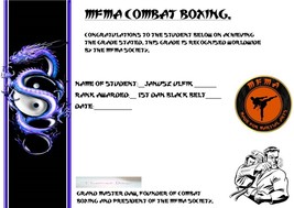 LEARN COMBAT BOXING. BEGINNER TO 1ST DAN TRAINING COURSE. - $26.18