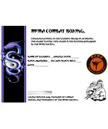 LEARN COMBAT BOXING. BEGINNER TO 1ST DAN TRAINING COURSE. - $26.18