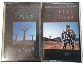 Pink Floyd Delicate Sound Of Thunder Double Live Album 2-Cassette Set 19... - $7.82