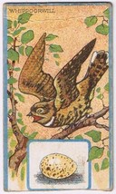 Cowan Co Toronto Bird Card Whippoorwill Canadian Bird Series Coupon Removed - £3.88 GBP