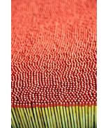 Large STRiKE on BOX 250 Wood Kitchen Matches RED TiP for grill fireplace... - $23.99 CAD