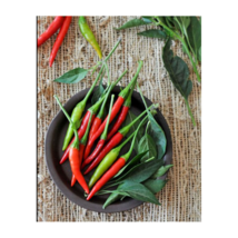 Thai &quot;Prik-Mun&quot; Pepper Seeds  Non-GMO |Fresh Garden 50 Seeds - £9.44 GBP