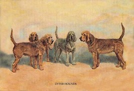 Otter Hounds by  Thomas Ivester Lloyd - Art Print - £17.23 GBP+