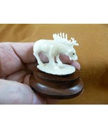 TB-MOO-13) white Moose elk deer walking tagua nut figurine Bali detailed... - $892.94 MXN