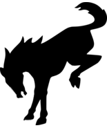 Ford Bronco Logo Vinyl Decal; GT, 5.0, GT500 - $5.41 CAD+
