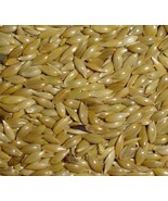 Alpiste Canary Seeds 1 Lbs Alpiste birds food - $5.46