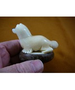 (TNE-OTT-364-b) little baby Otter Ferret Ermine TAGUA NUT Figurine Veget... - $707.73 MXN