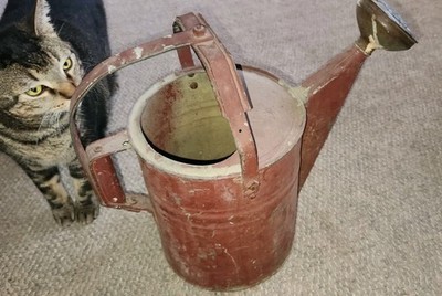 #10 Antique Metal Watering Can Garden Flowers Copper Brass Tip Distressed Red Item image 6
