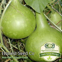 SEPTH 20+ Bottle Gourd Seeds Non-GMO Birdhouse Craft Asian Buddha Squash Vegetab - £6.29 GBP