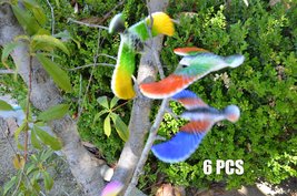 C&amp;H Solutions 6 Pcs Balancing Bird of CNH Toy 6.5 Inch Wing Span-Colors ... - $273.81 MXN