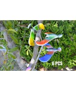 C&amp;H Solutions 6 Pcs Balancing Bird of CNH Toy 6.5 Inch Wing Span-Colors ... - $273.81 MXN
