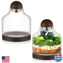 Sunnychicc 2-Pack Glass Terrarium w/ Wood Base &amp; Ball Lid - Elegant Disp... - $77.40