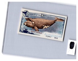 2012 Allen and Ginter Mini Giants of the Deep #GD7 Right Whale - $1.49