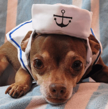 Adorable Nautical Pet Costume Set - Perfect for Halloween Cosplay! - £11.18 GBP
