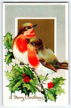 Christmas Postcard Two Robins Birds Seated On Holly Leaves Embossed Vintage - £9.66 GBP