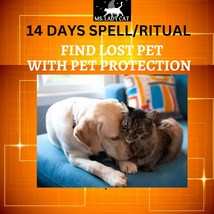 Find lost pet spell, Pet Protection, Lost Pet Spell, Pet Locator Spell, Pet Prot - $140.00