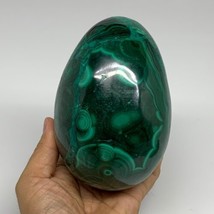 3.9 lbs, 5.1&quot;x3.6&quot;, Natural Solid Malachite Egg Polished Gemstone @Congo, B32792 - £1,122.27 GBP