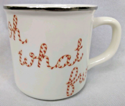 Pottery Barn Peppermint Sentiments Oh What Fun Mug Christmas Holiday - $11.95