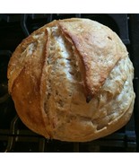 favorite san francisco sourdough starter 10 decades old sour very active... - $7.72