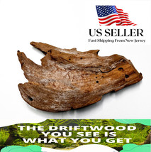Natural Mangrove Driftwood #142a Wysiwyg - Aquasc API Ng, Super Price!! Decoration - £19.94 GBP