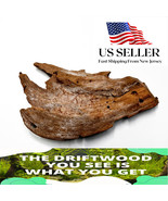 NATURAL MANGROVE DRIFTWOOD #142a WYSIWYG - AQUASCAPING, SUPER PRICE!! DE... - $461.13 MXN