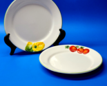 Vietri DIPINTO A MANO 8½” Vegetable Themed Luncheon / Salad Plates - Pai... - $38.59