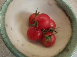 Rose Quartz Multiflora Tomato - 5+ seeds - P 185 - £1.79 GBP