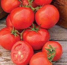 HS 50 Seeds Oh Happy Day Tomato Tomatoe Vegetable Garden Edible - £4.10 GBP