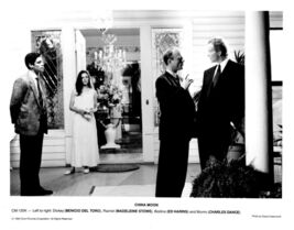 China Moon 1990 Black &amp; White Movie Press Photograph Benicio Del Toro - $16.71