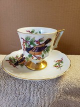 Enesco Porcelain Tea Cup and Saucer Set Oriole Song Bird Made In Japan - £15.69 GBP