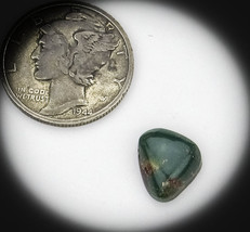 2.5 cwt. Vintage Cerrillos Turquoise Cabochon - $319.15 MXN
