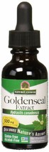 Nature&#39;s Answer Goldenseal Root | Herbal Supplement | Supports A Healthy Immu... - £17.55 GBP