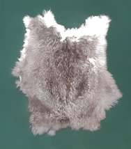 Rabbit Fur Pelt  - $5.00