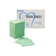 BRITEDENT Patient Bibs 13&quot; x 18&quot; Green 2-Ply Paper/1-Ply Poly 500/Bx BSI... - £24.76 GBP