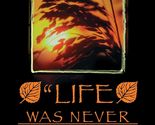 Life Was Never Meant to Be a Struggle [Paperback] Wilde, Stuart - $2.93