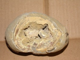 SEPTARIAN LARGE UNPOLISHED GEODE FROM UTAH - £38.76 GBP