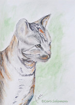 Tabby Cat Art Watercolor Colored Pencil Drawing Solomon - $368.57 MXN