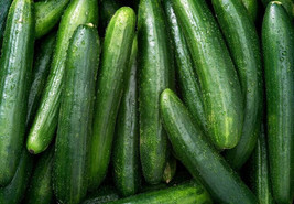 25 Seeds Fanfare Cucumber Planting Edible Food Easy To Grow Garden - $3.74