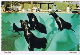 California Postcard San Diego Sea World Seal Pool - £2.28 GBP