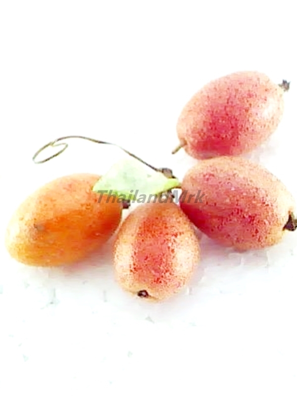 bastard oleaster Elaeagnus latifolia 50 Seeds ThailandMrk