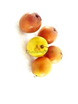 Thai Jujube Rhamnaceae 10 Seeds ThailandMrk - $5.00