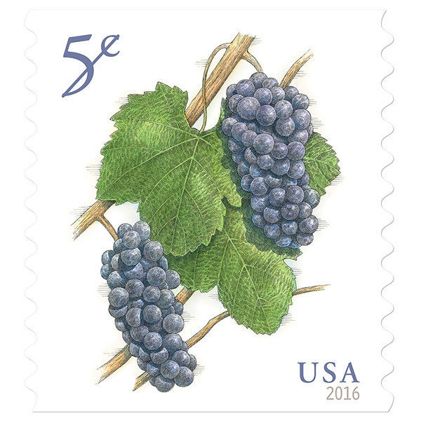 2016 5c Deep-Purple Pinot Noir Grapes, Coil Scott 5038 Mint F/VF NH - $0.99