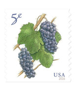 2016 5c Deep-Purple Pinot Noir Grapes, Coil Scott 5038 Mint F/VF NH - £0.77 GBP