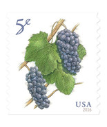 2016 5c Deep-Purple Pinot Noir Grapes, Coil Scott 5038 Mint F/VF NH - $1.35 CAD