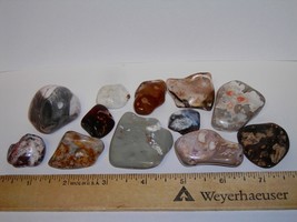 12 Unique Polished Rocks--Over 1/2 Pound! - $9.99